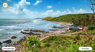 Assagao hotel evening for Goa outcall