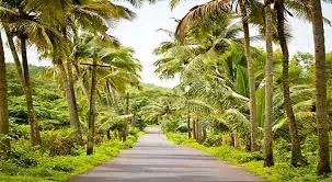 VIP Escorts in Assagao near Assagao village in Goa