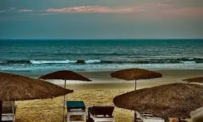 Russian Escorts in Pandri near Market in Raipur