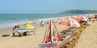 Independent Escorts in Kochi — luxury verified booking in Kochi