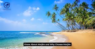 College Girl Escorts in Morjim near Morjim Beach in Goa