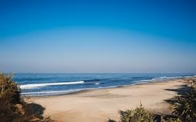 MILF Escorts in Morjim near Morjim Beach in Goa