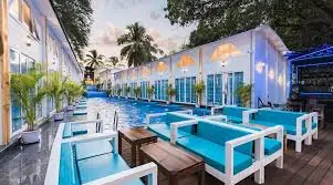 VIP Escorts in Vasant Kunj near South-west in Delhi