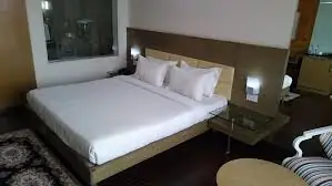 Foreign Escorts in City Light near City Light Road in Surat