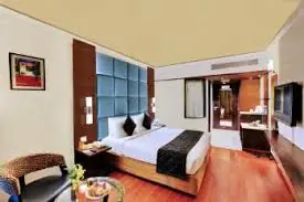 South Indian Escorts in Raipur — luxury verified booking in Raipur