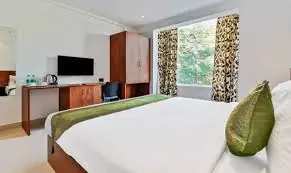 City Light hotel evening for Surat outcall